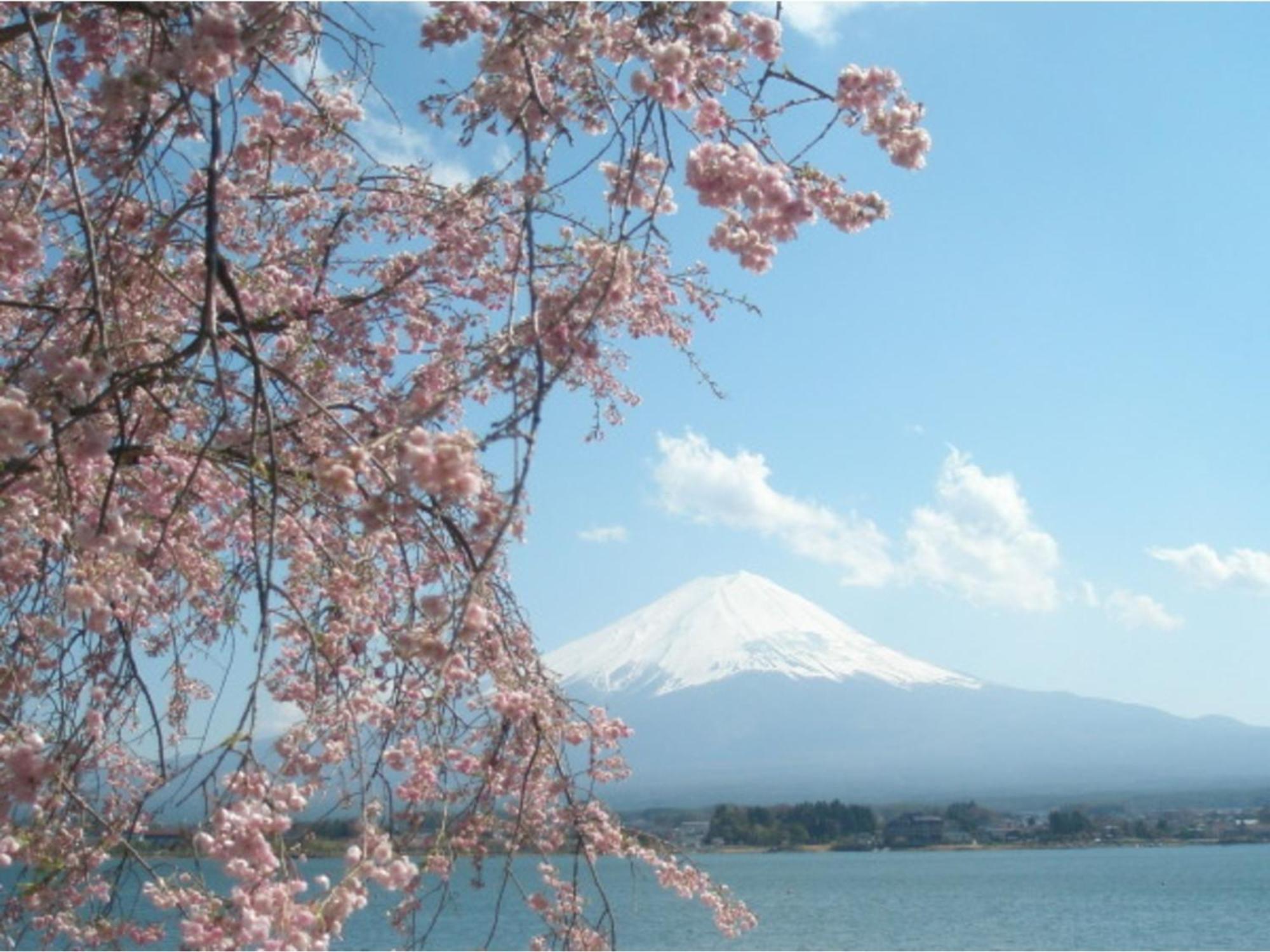 Lake Kawaguchi Rental Villa Tozawa Center - Vacation Stay 46850V Fujikawaguchiko Zewnętrze zdjęcie