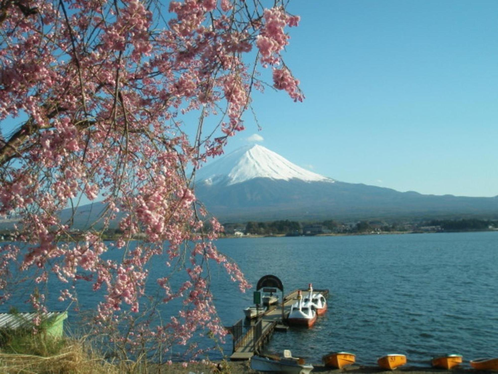 Lake Kawaguchi Rental Villa Tozawa Center - Vacation Stay 46850V Fujikawaguchiko Zewnętrze zdjęcie